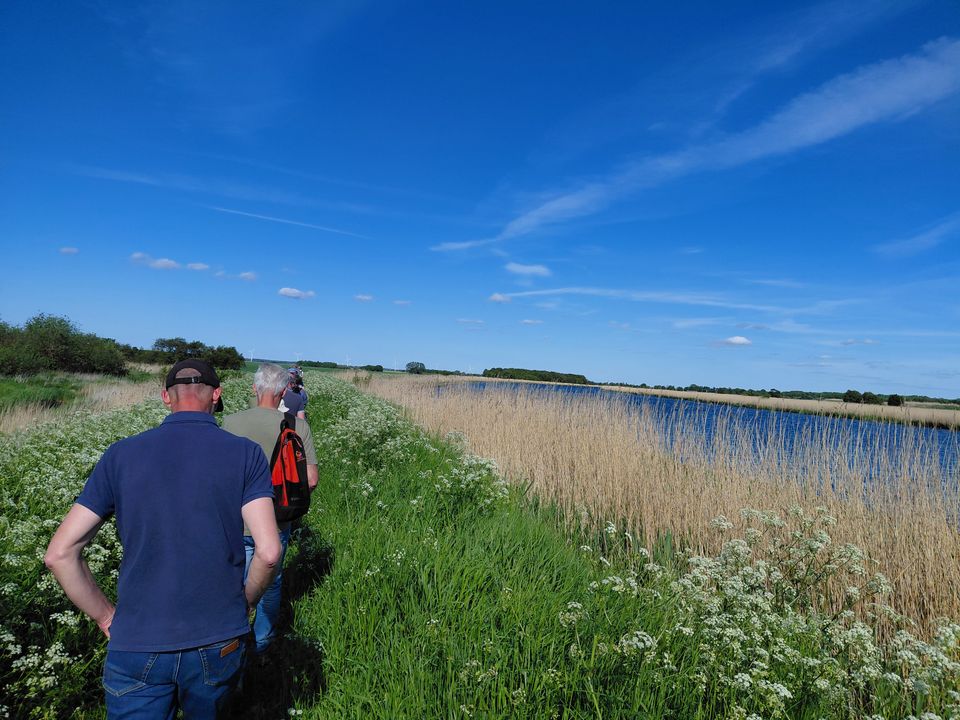 112 kilometer nye vandreruter åbner ved Randers Fjord