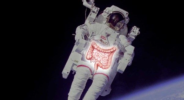 Blodprøver fra 52 astronauter afslører markant ændring i tarmen under rumrejser