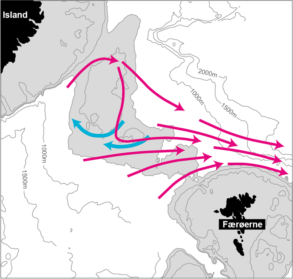 I mere end et århundrede forskerne vidst, at koldt dybvand passerer den undersøiske ryg mellem Island og Færøerne, men ikke præcist hvor. Nye målinger viser nu, at den vigtigste returstrøm krydser den centrale del af ryggen ad to hovedveje. De varme atlantiske strømme i de øvre vandlag er vist med rødt, mens det kolde, tætte dybvand på vej tilbage mod syd er vist med turkis.